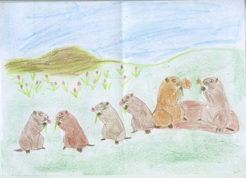 Dessin de Adrien