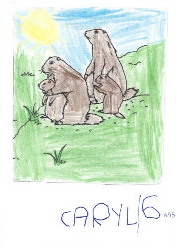 Dessin de Caryl