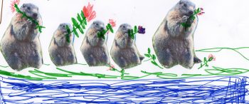 Dessin de Dara