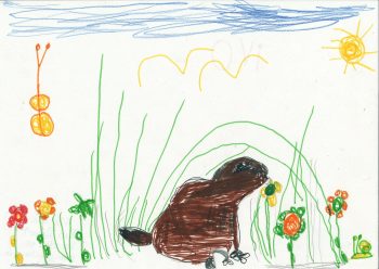 Dessin de Ivo