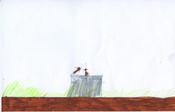 Dessin de Jiyan