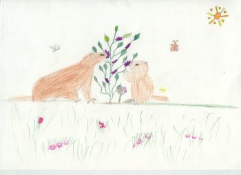Dessin de Juliette