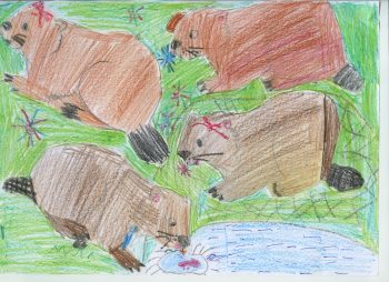 Dessin de Louise