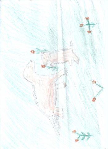 Dessin de Tom