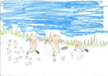 Dessin de Nathan
