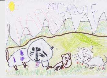 Dessin de Pacôme
