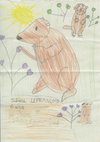 Dessin de Silvère