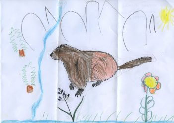 Dessin de Tom