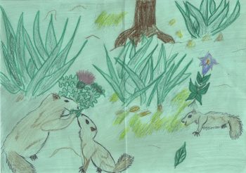Dessin de Gabrielle