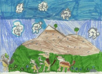 Dessin de Orso