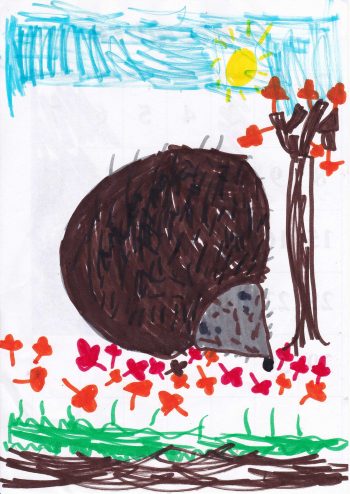 Dessin de Clémence