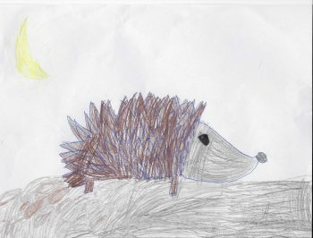 Dessin de Marguerite