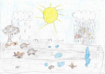 Dessin de Romain