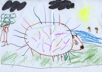 Dessin de Hector