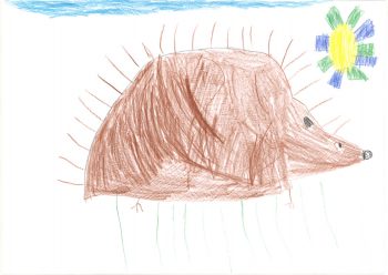 Dessin de Louis
