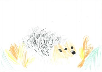 Dessin de Paul