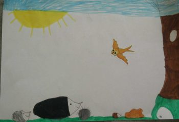 Dessin de Pauline