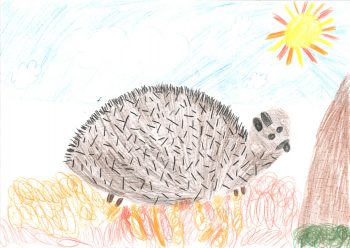 Dessin de Romane
