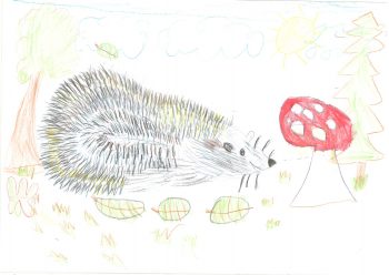 Dessin de Sarah