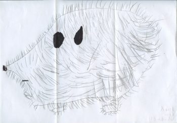 Dessin de ismael