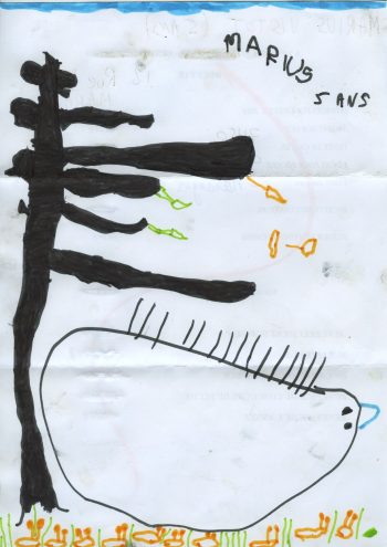 Dessin de Marius