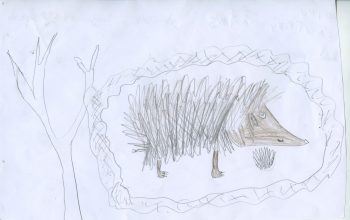 Dessin de Nino