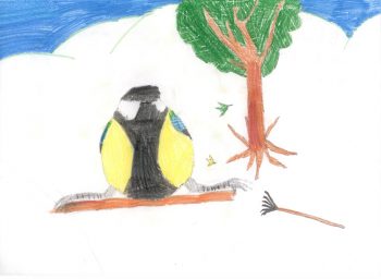 Dessin de Anthony