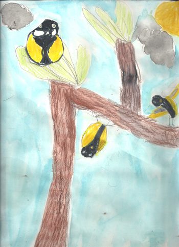 Dessin de Coline