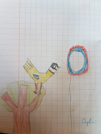 Dessin de daphne