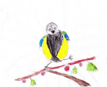 Dessin de Elise