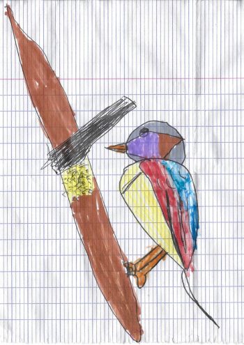Dessin de Louna