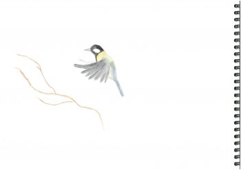 Dessin de Lounis