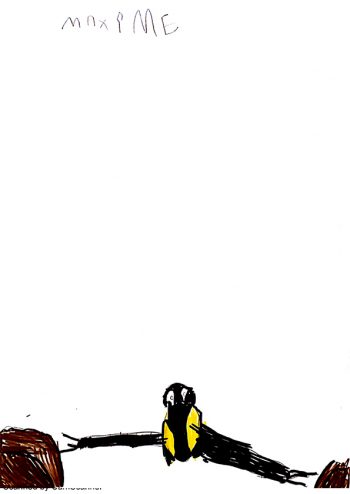 Dessin de Maxime