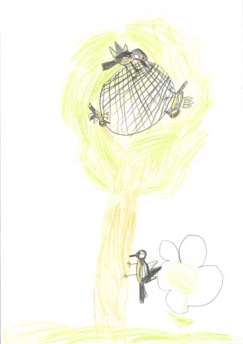 Dessin de Amandine