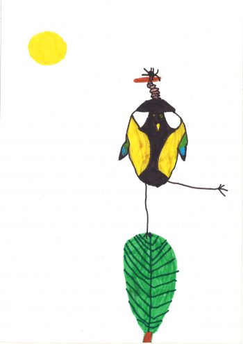 Dessin de Augustin