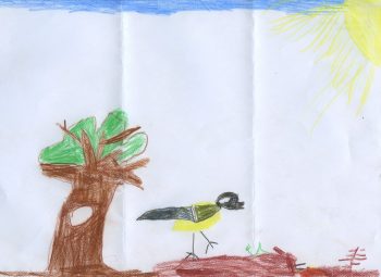 Dessin de Baptiste