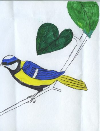 Dessin de Clara