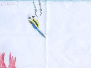 Dessin de Elio