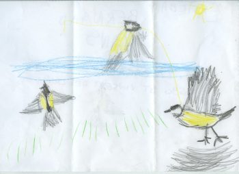 Dessin de Esteban
