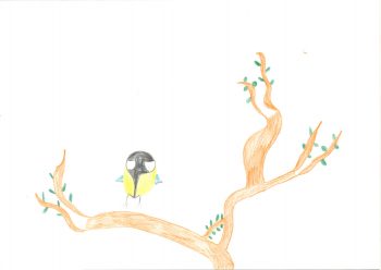 Dessin de Flamie