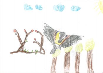 Dessin de Gaspard