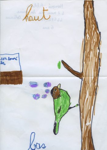 Dessin de Honoré