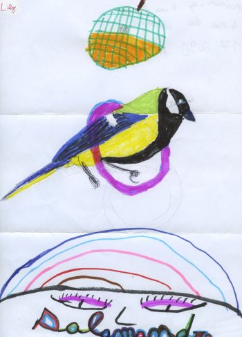 Dessin de Liey