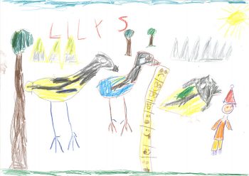 Dessin de Lily