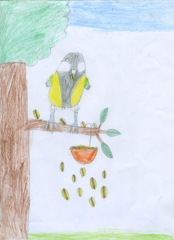 Dessin de Louison