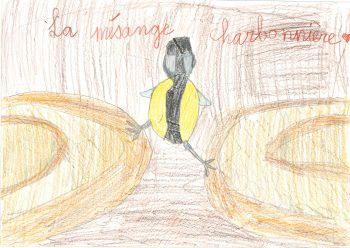Dessin de Margaux