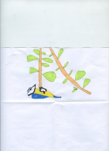 Dessin de Maxence