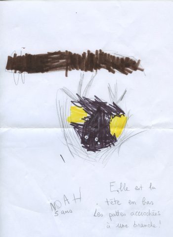 Dessin de Noah