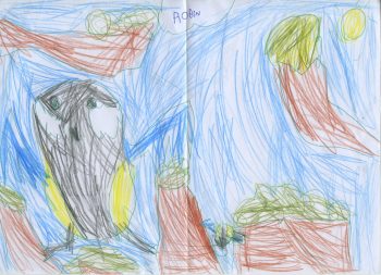 Dessin de Robin