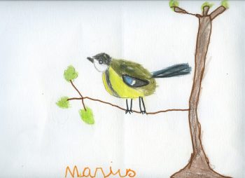 Dessin de Marius